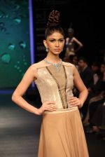 Model walks the ramp for KGK Entice Pvt.Ltd Show at IIJW Day 4 on 22nd Aug 2012 (182).JPG